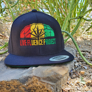 Live Fluence Project Logo Snapback